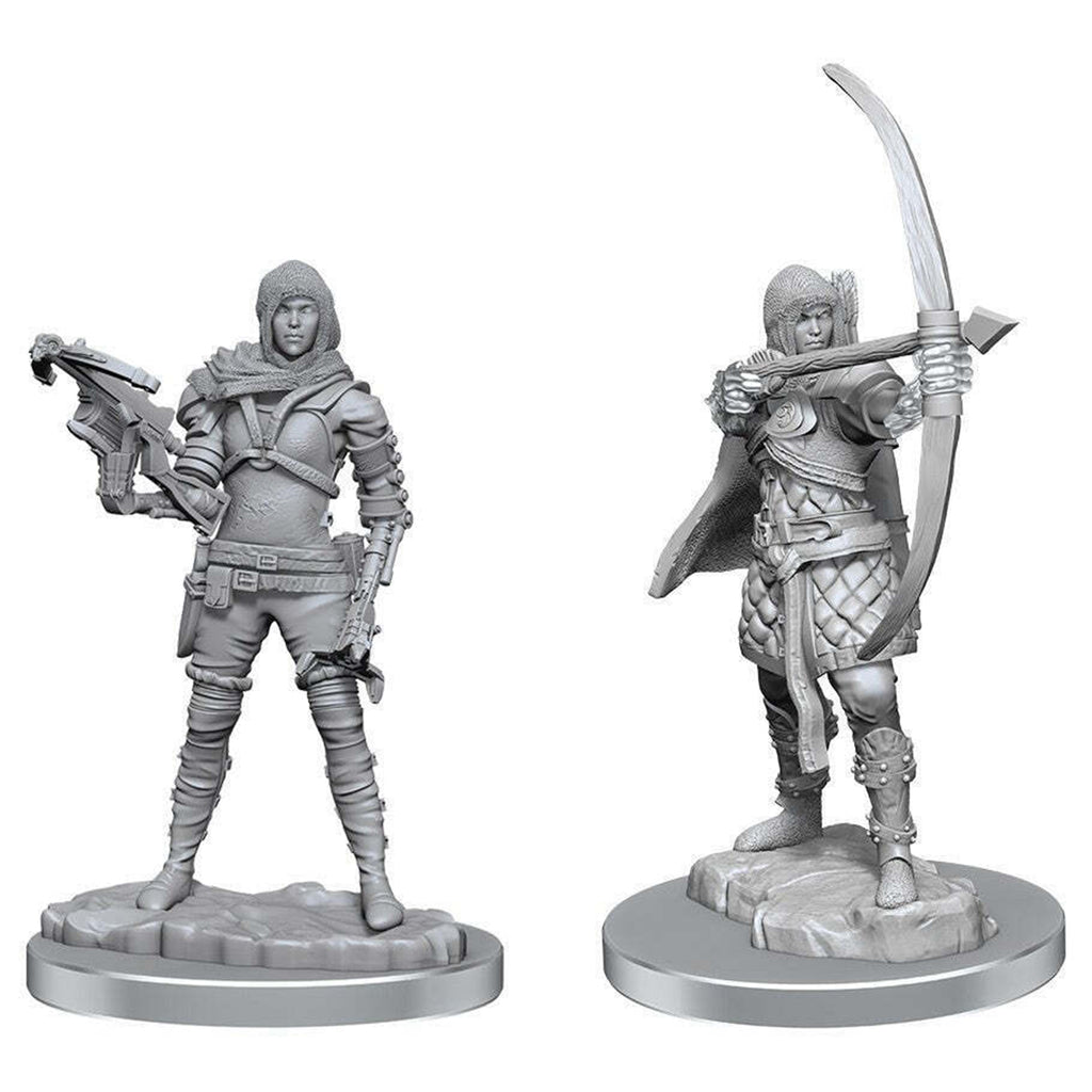 Dungeons And Dragons Human Rogue Nolzur's Miniatures