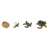 Sea Turtle Life Cycle Mini Figures Safari Ltd - Radar Toys