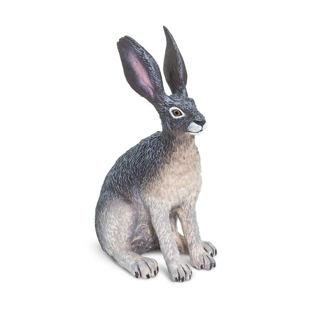 American Desert Hare Animal Figure Safari Ltd 182029