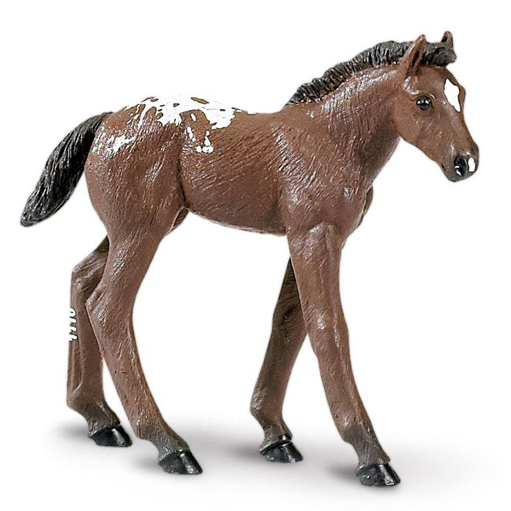 Appaloosa Foal Winner's Circle Horses Figure Safari Ltd - Radar Toys