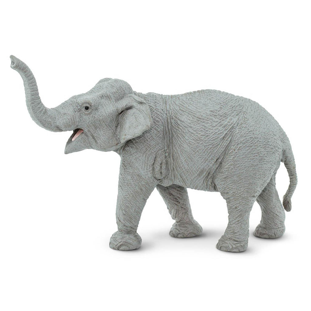 Asian Elephant Wildlife Figure Safari Ltd