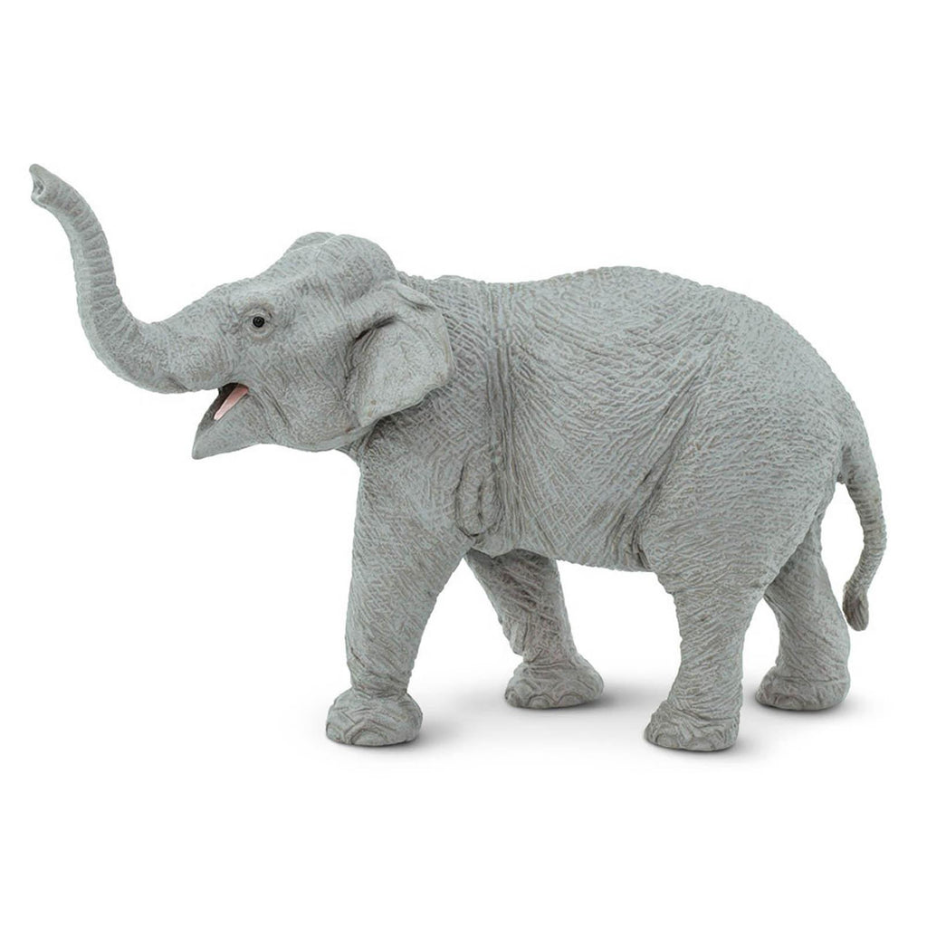 Asian Elephant Wildlife Figure Safari Ltd - Radar Toys