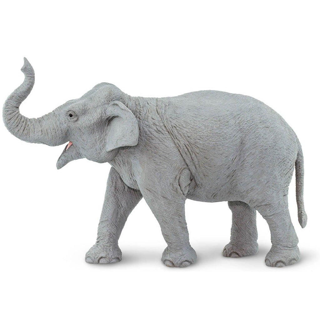 Asian Elephant Wildlife Wonders Figure Safari Ltd