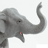 Asian Elephant Wildlife Wonders Figure Safari Ltd - Radar Toys