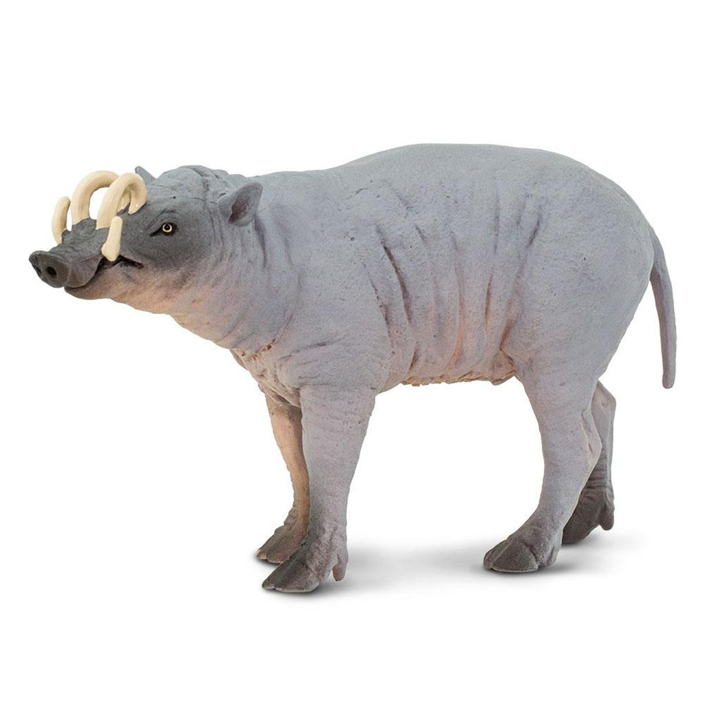 Babirusa Animal Figure Safari Ltd 100102
