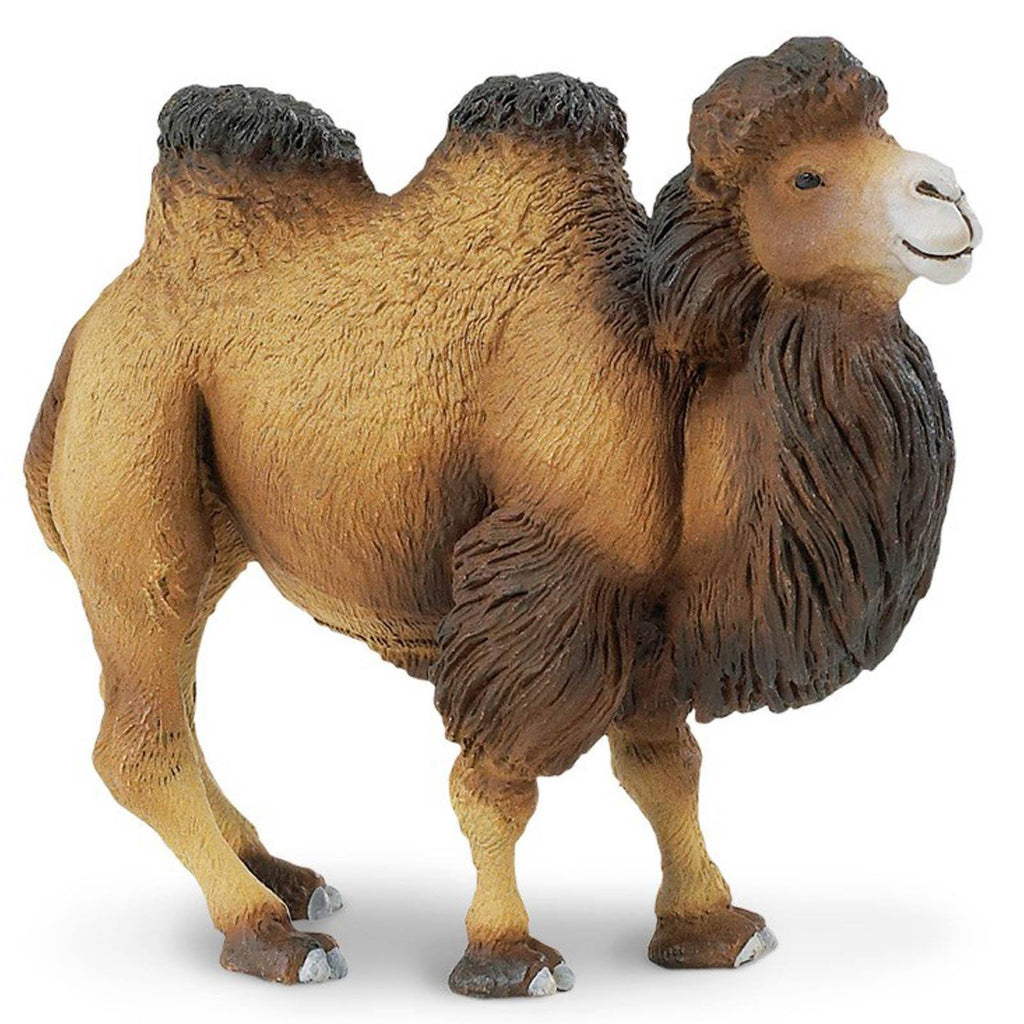 Bactrian Camel Wildlife Figure Safari Ltd - Radar Toys