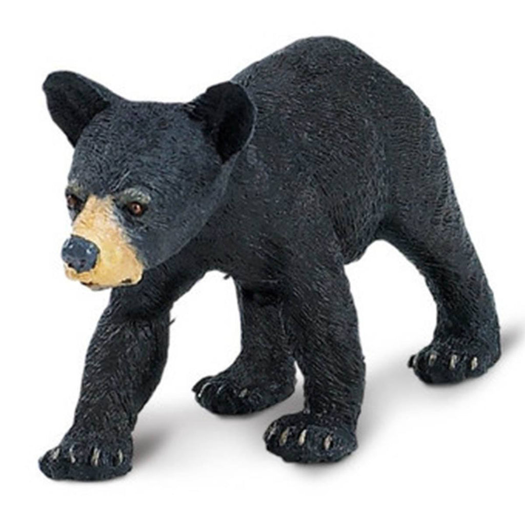 Black Bear Cub North American Wildlife Safari Ltd