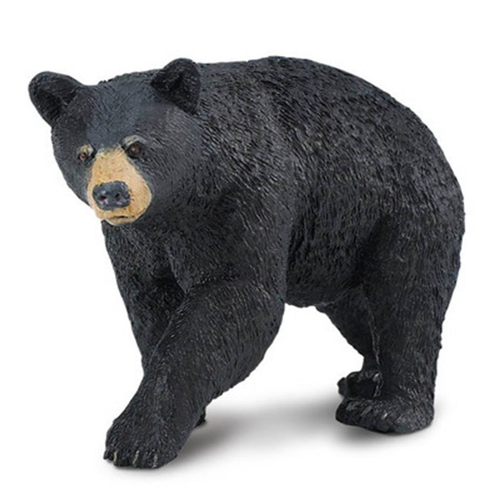 Black Bear North American Wildlife Safari Ltd - Radar Toys