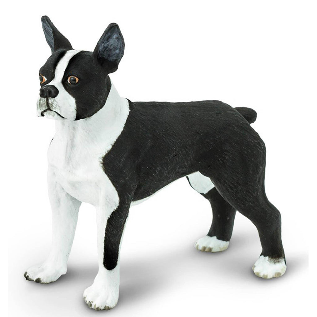 Boston Terrier Best In Show Dogs Figure Safari Ltd