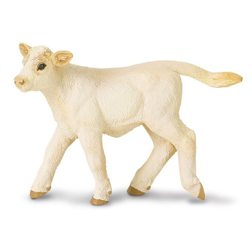 Charolais Calf Safari Farm Safari Ltd - Radar Toys
