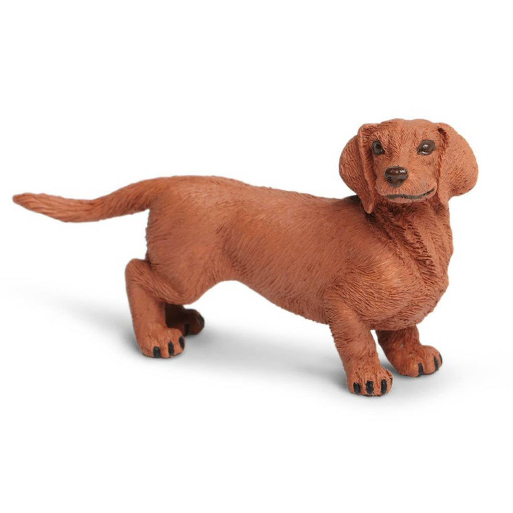 Dachshund Best In Show Dogs Figure Safari Ltd - Radar Toys