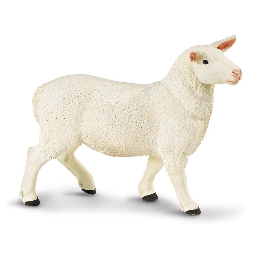 Ewe Safari Farm Safari Ltd - Radar Toys