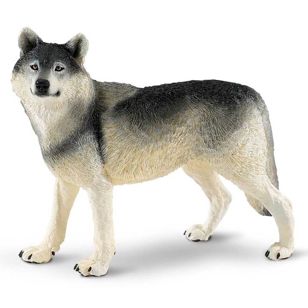 Grey Wolf Wildlife Wonders Figure Safari Ltd - Radar Toys