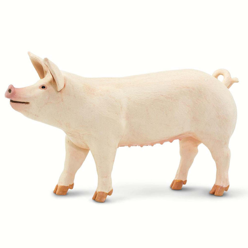 Large White Pig Safari Farm Animal Figure Safari Ltd 100269