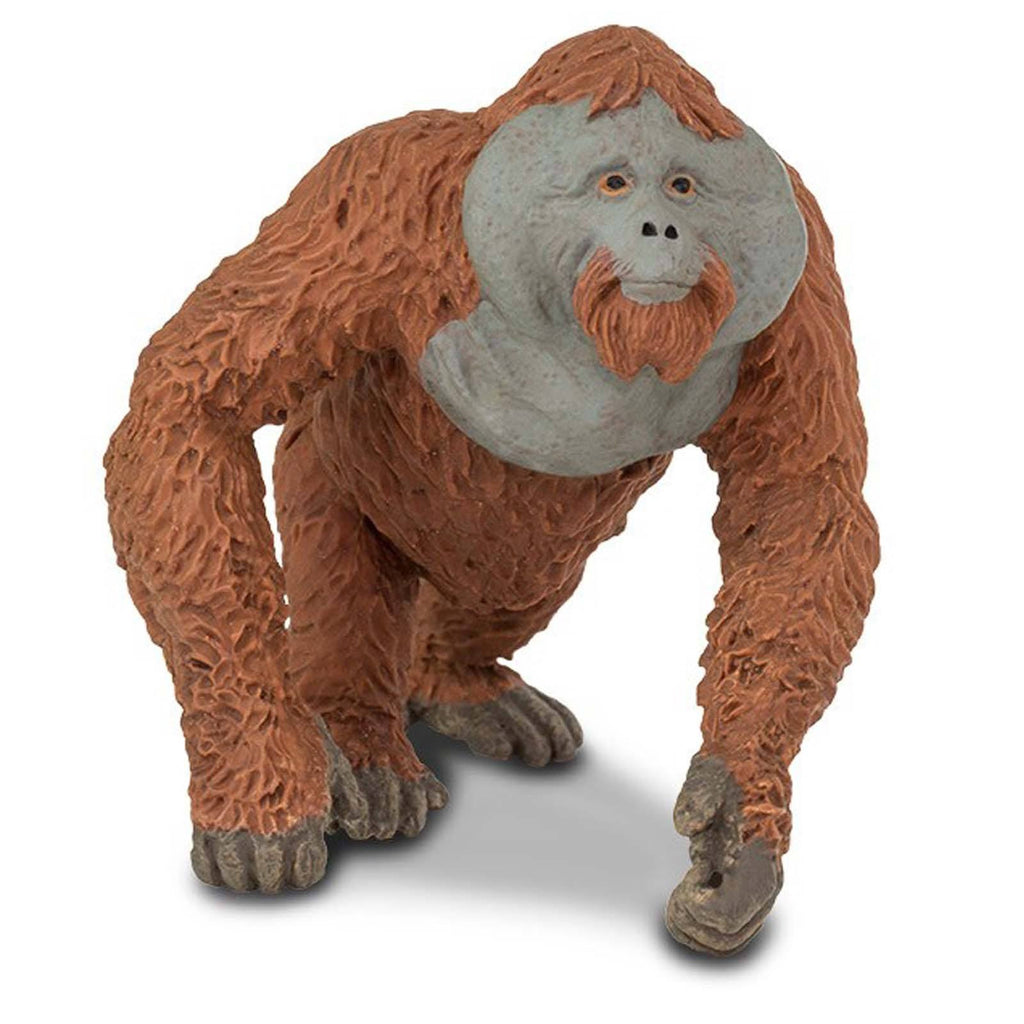 Male Orangutan Wildlife Figure Safari Ltd - Radar Toys