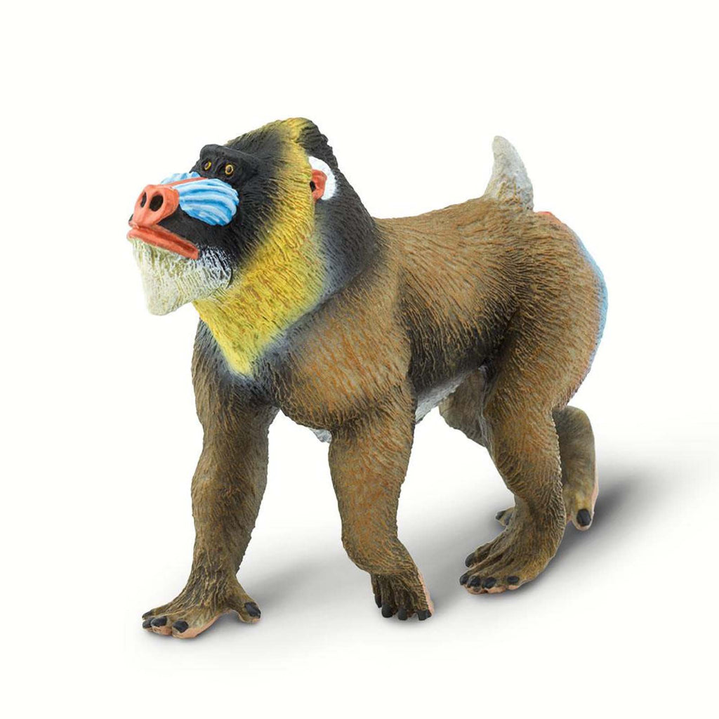 Mandrill Wild Safari Animal Figure Safari Ltd 100273 - Radar Toys