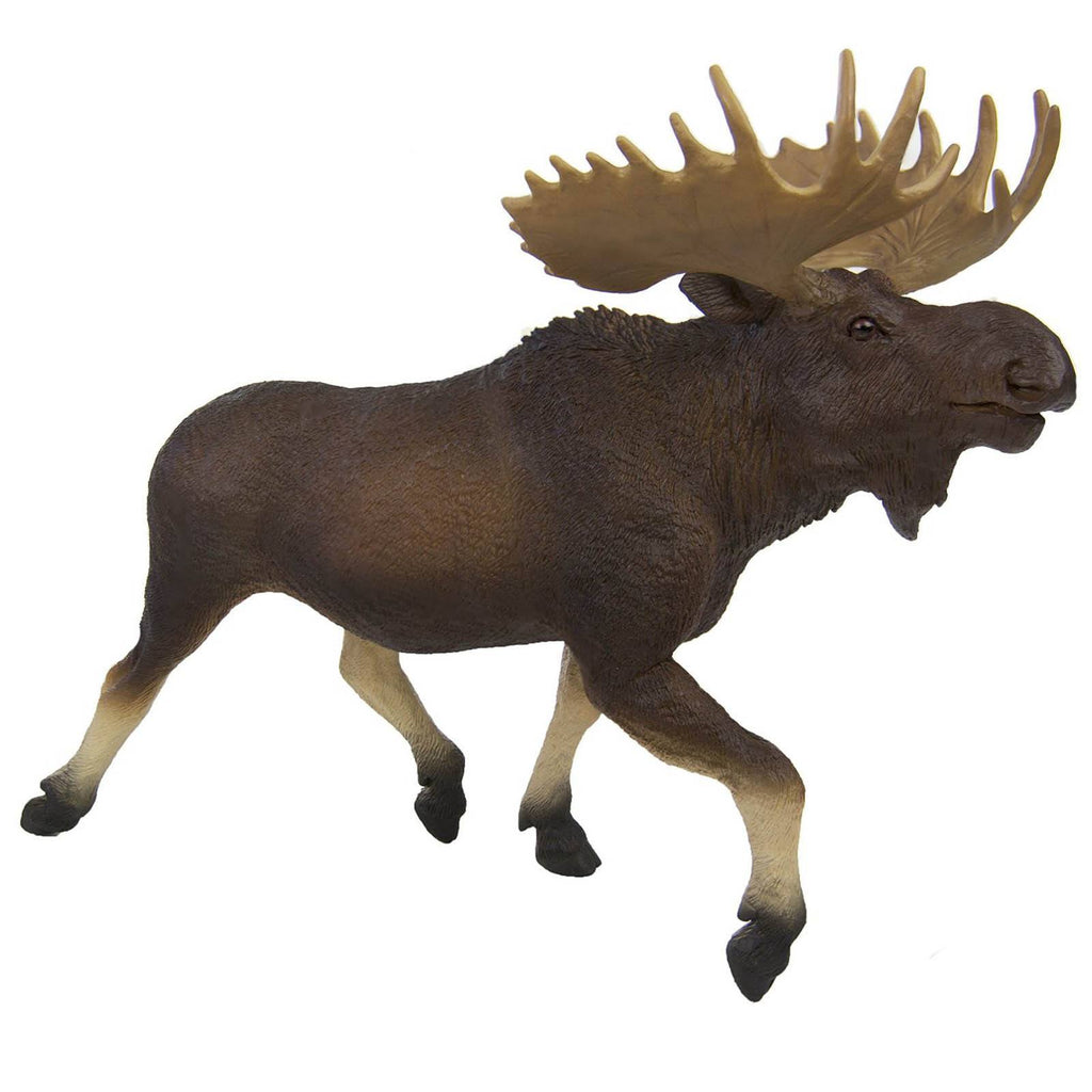 Moose Wildlife Wonders Figure Safari Ltd
