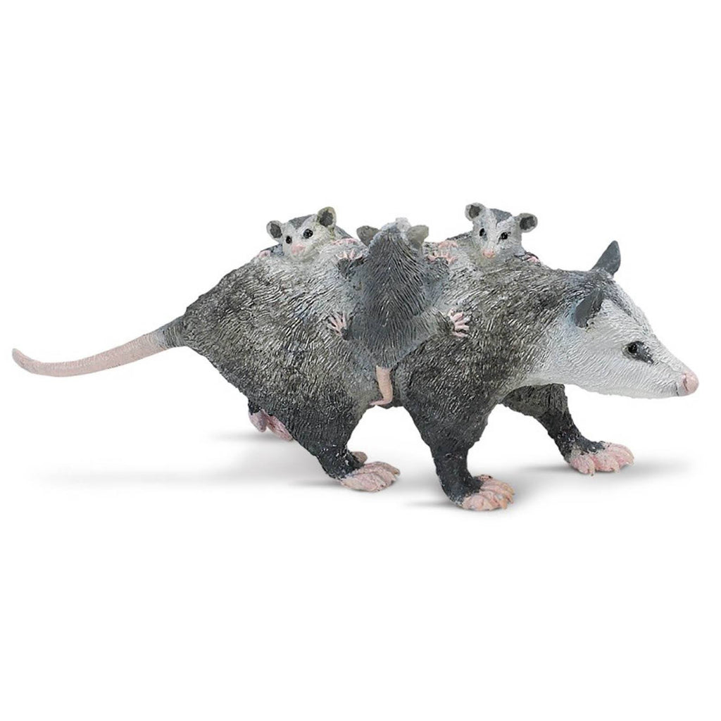 Opossum With Babies North American Wildlife Safari Ltd