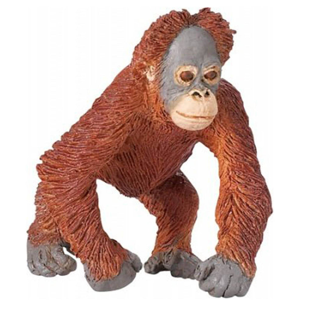 Orangutan Baby Wildlife Figure Safari Ltd