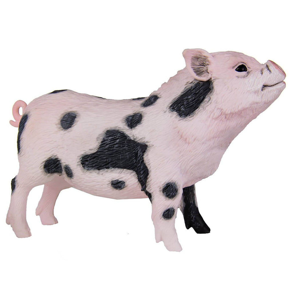 Pot-Bellied Pig Incredible Creatures Figure Safari Ltd - Radar Toys