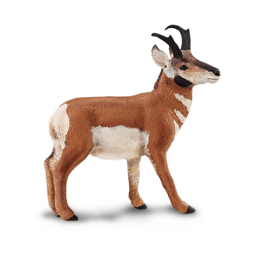 Pronghorn Buck North American Wildlife Figure Safari Ltd