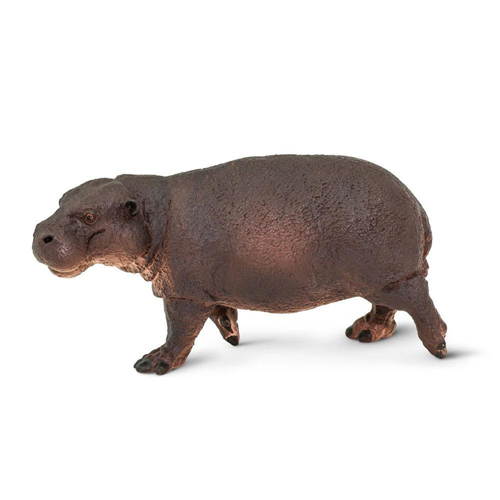 Pygmy Hippo Animal Figure Safari Ltd 229229 - Radar Toys
