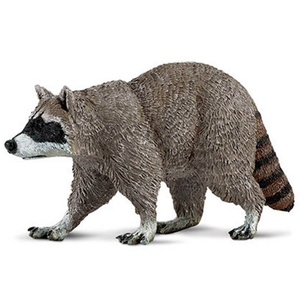 Raccoon North American Wildlife Figure Safari Ltd – Radar Toys