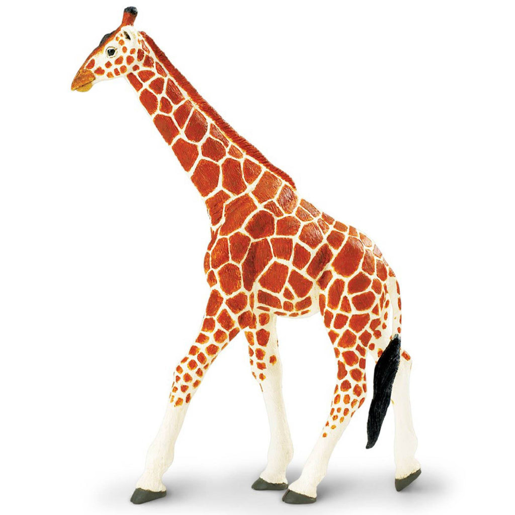 Reticulated Giraffe Wildlife Wonders Figure Safari Ltd - Radar Toys