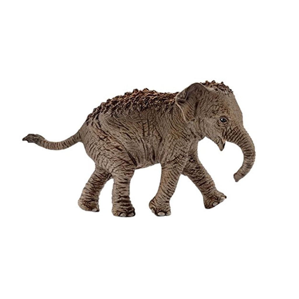 Schleich Asian Elephant Calf Animal Figure