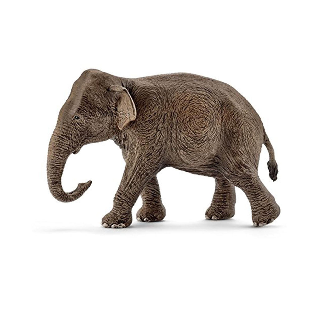 Schleich Asian Elephant Female Animal Figure - Radar Toys