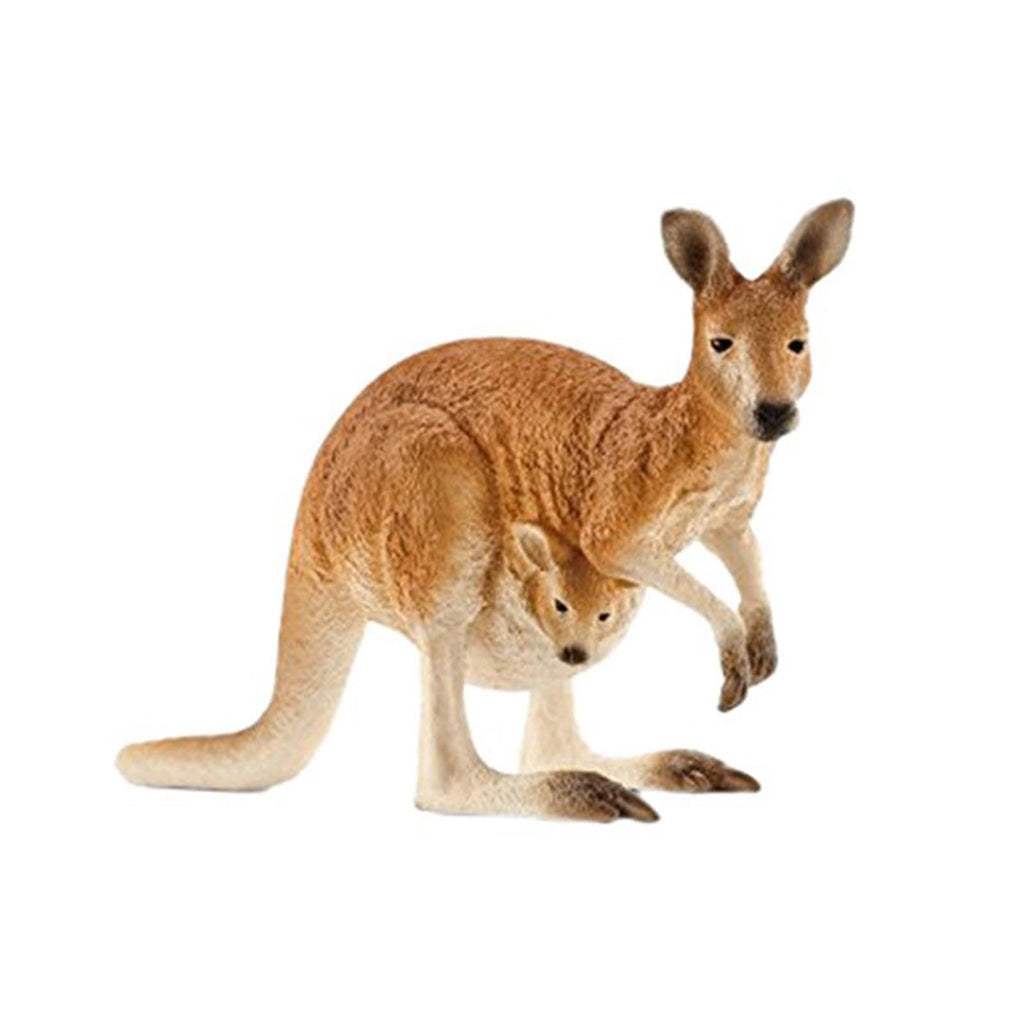 Schleich Kangaroo Animal Figure - Radar Toys
