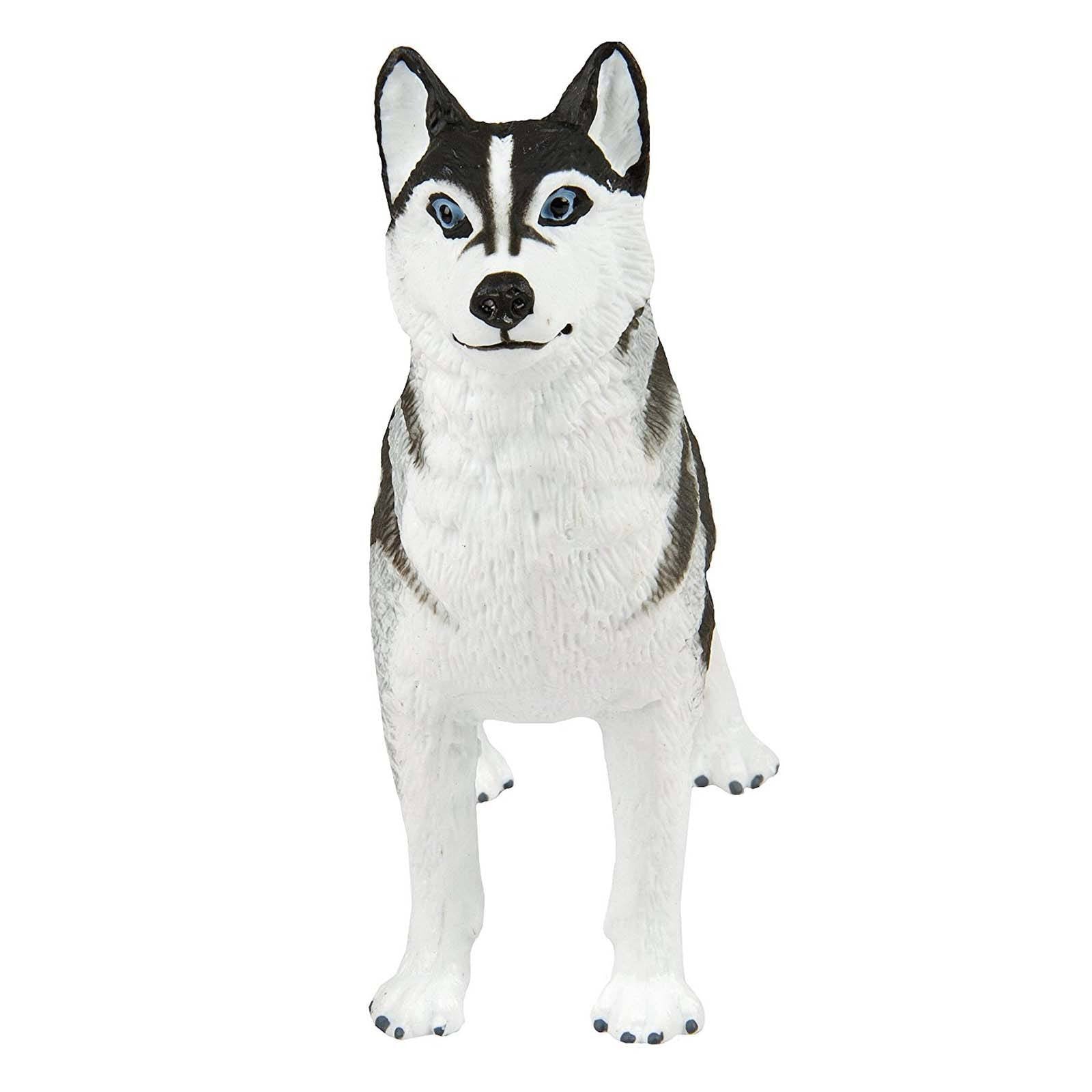 https://www.radartoys.com/cdn/shop/products/mammal-figures-siberian-husky-dogs-figure-safari-ltd-2.jpg?v=1490030417