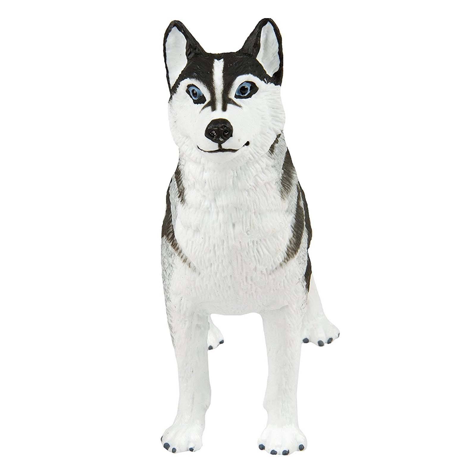 Safari Ltd. Siberian Husky Figurine - Detailed 3.25 Plastic Model Figure -  Fun Educational Play Toy for Boys, Girls & Kids Ages 3+