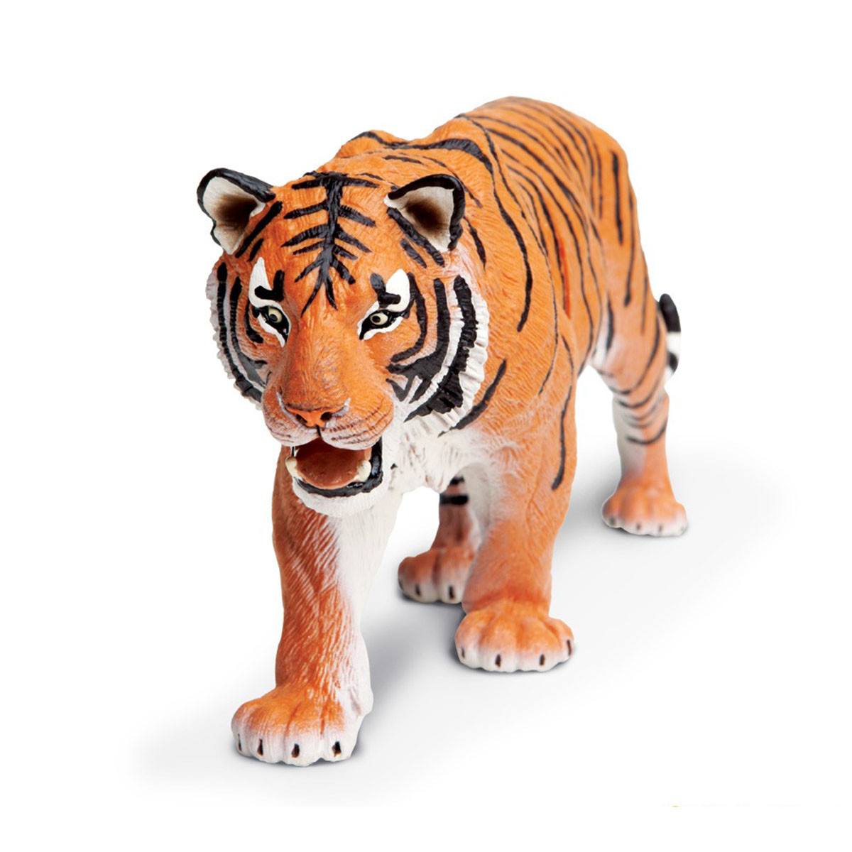Siberian Tiger Wildlife Wonders Figure Safari Ltd – Radar Toys
