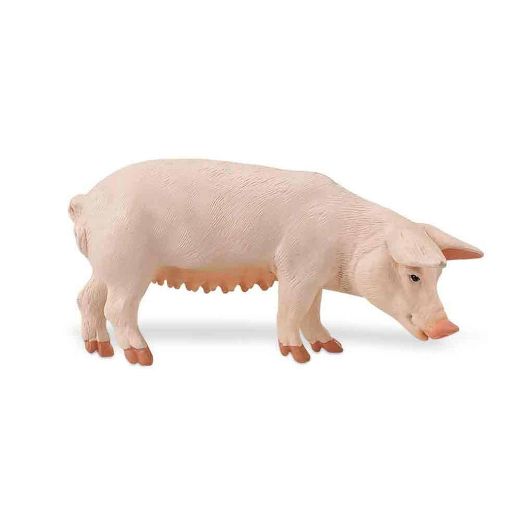 Sow Pig Safari Farm Safari Ltd - Radar Toys