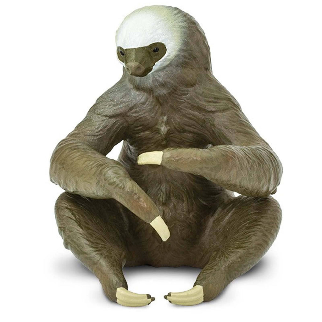Two-Toed Sloth Wild Safari Figure Safari Ltd - Radar Toys