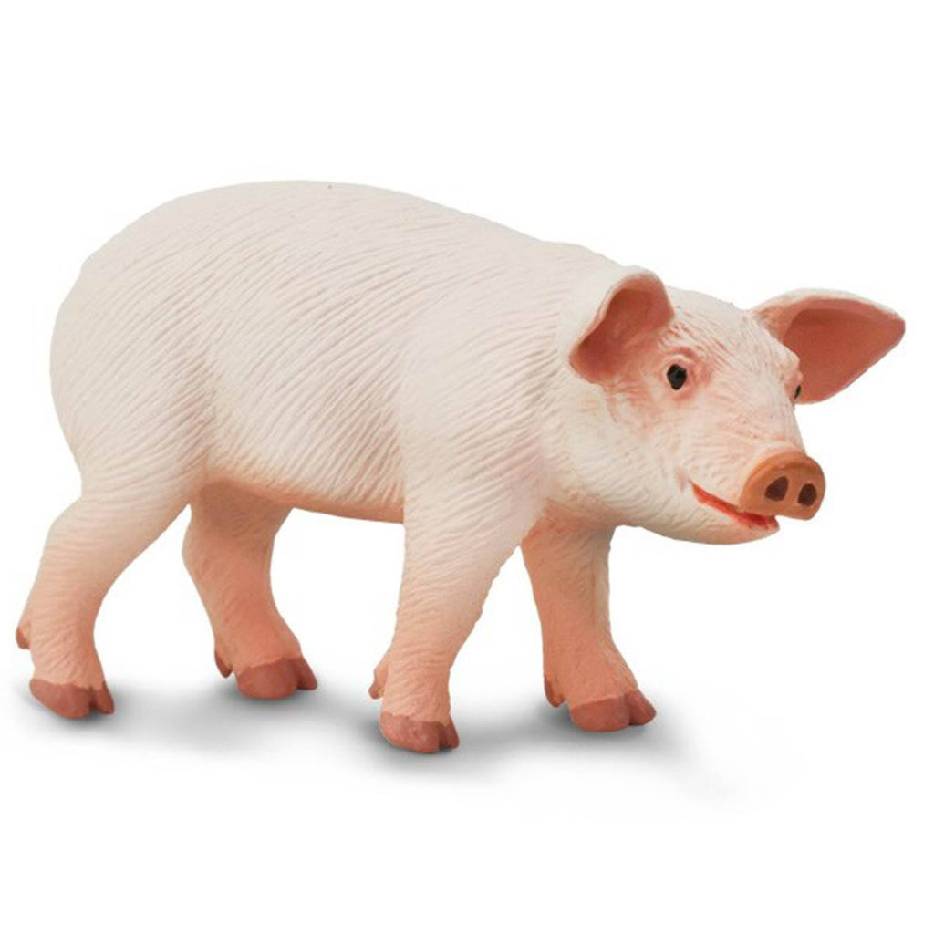 Walking Piglet Safari Farm Safari Ltd