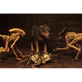 NECA Alien 3 Creature Figure Pack - Radar Toys