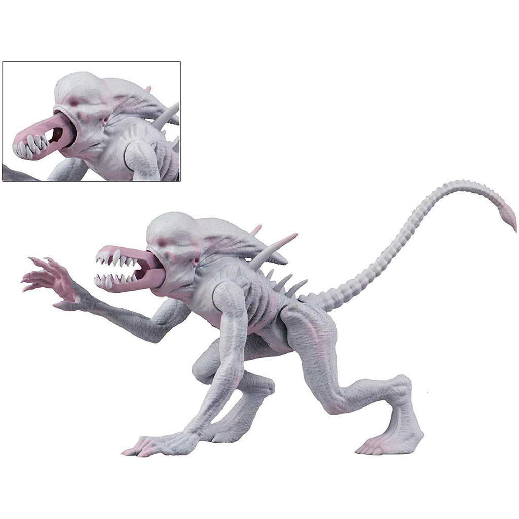 NECA Alien Predator Classics Neomorph 6 Inch Action Figure