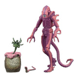 Aliens Arcade Appearance Warrior Action Figure - Radar Toys