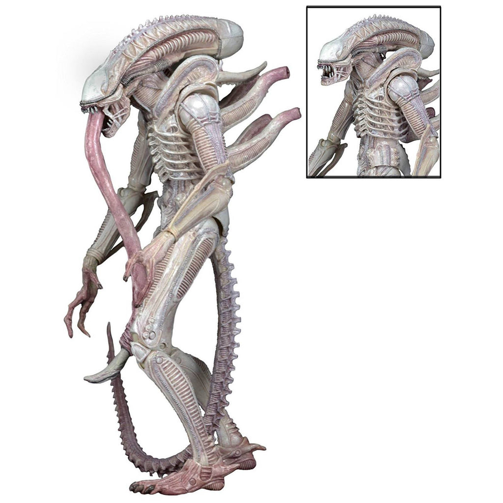 NECA Aliens Series 9 Xenomorph Albino Drone Action Figure