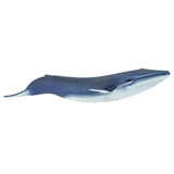 Blue Whale Sea Life Safari Ltd - Radar Toys