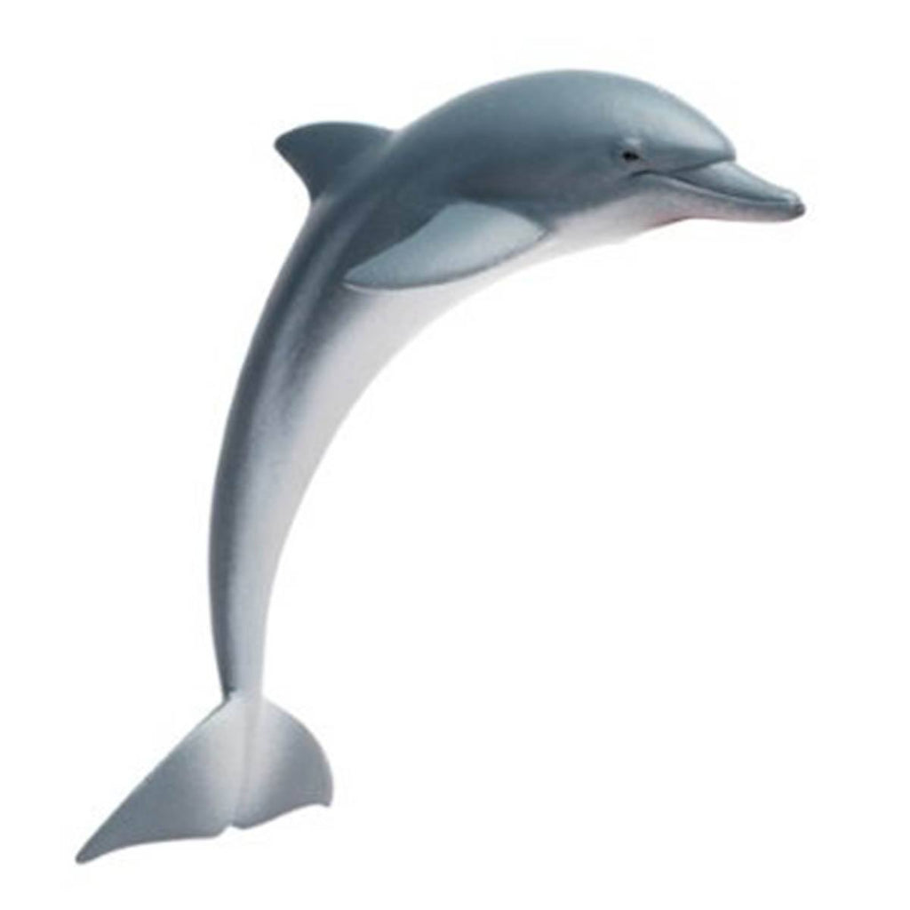 Dolphin Sea Life Safari Ltd
