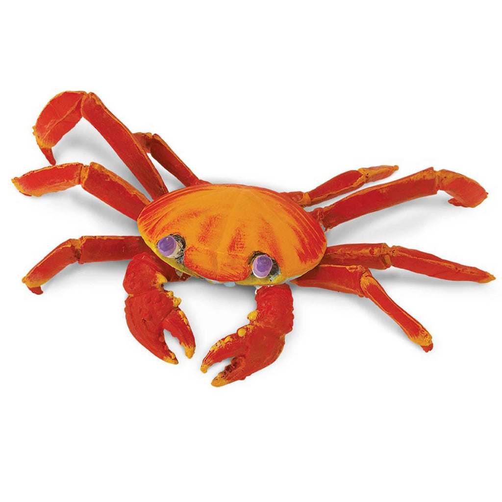 Galapagos Sally Lightfoot Crab Incredible Creatures Figure Safari Ltd