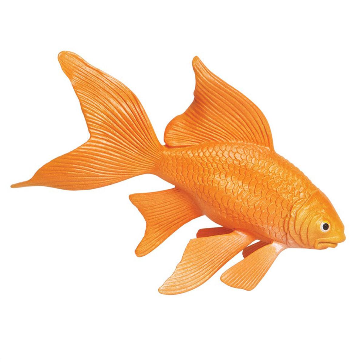 Goldfish Figure Safari Animal Figures Fish Figure Toys – Radar Toys
