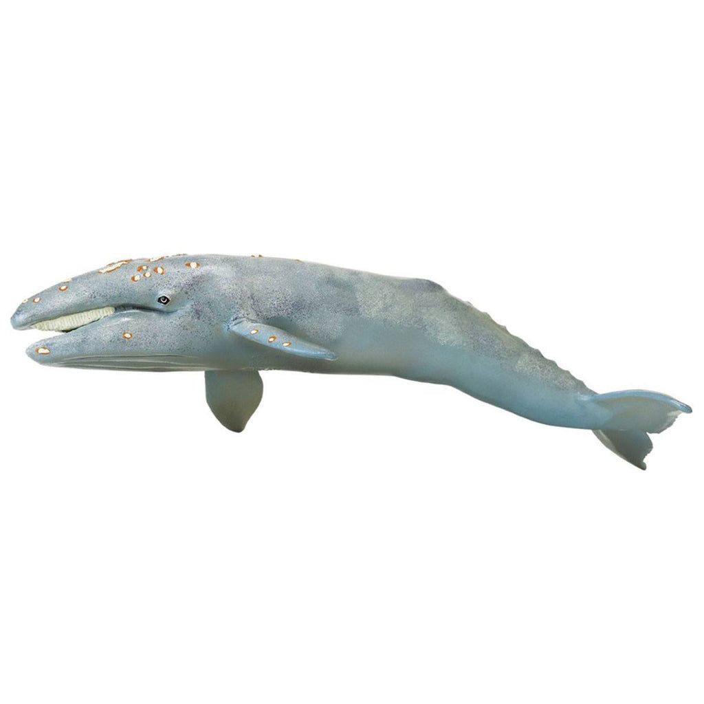 Gray Whale Monterey Bay Sea Life Figure Safari Ltd - Radar Toys