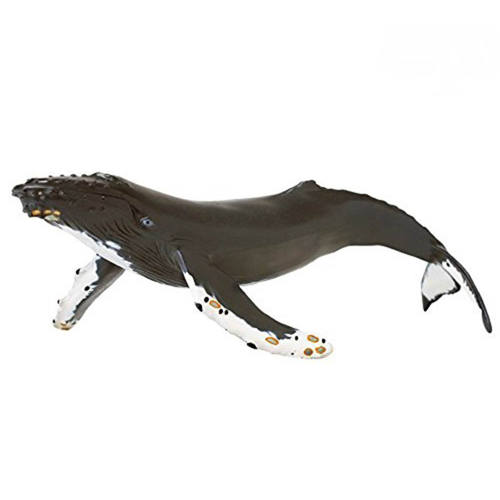 Humpback Whale Sea Life Figure Safari Ltd