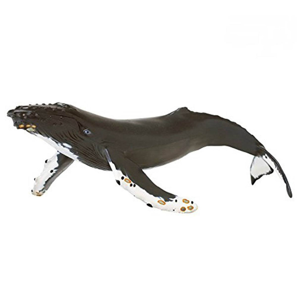 Humpback Whale Sea Life Figure Safari Ltd