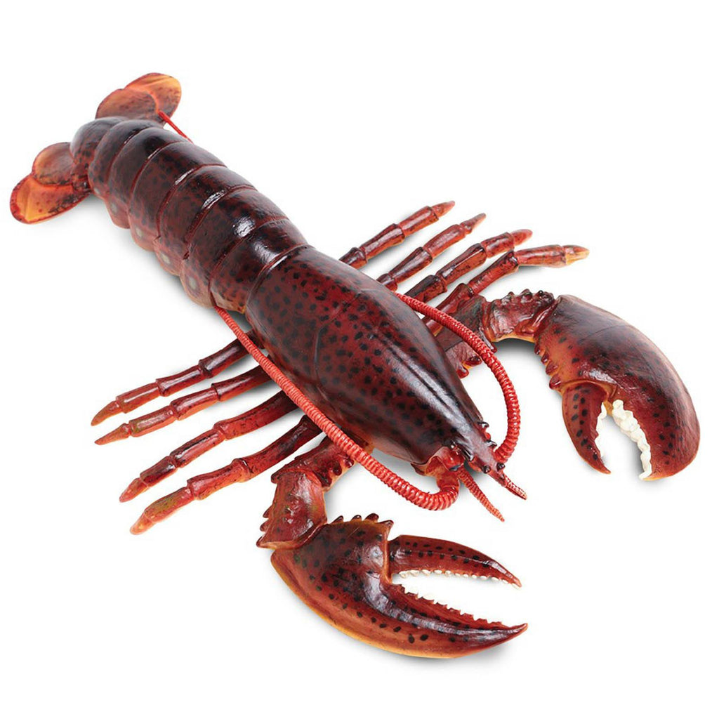 Maine Lobster Incredible Creatures Figure Safari Ltd - Radar Toys