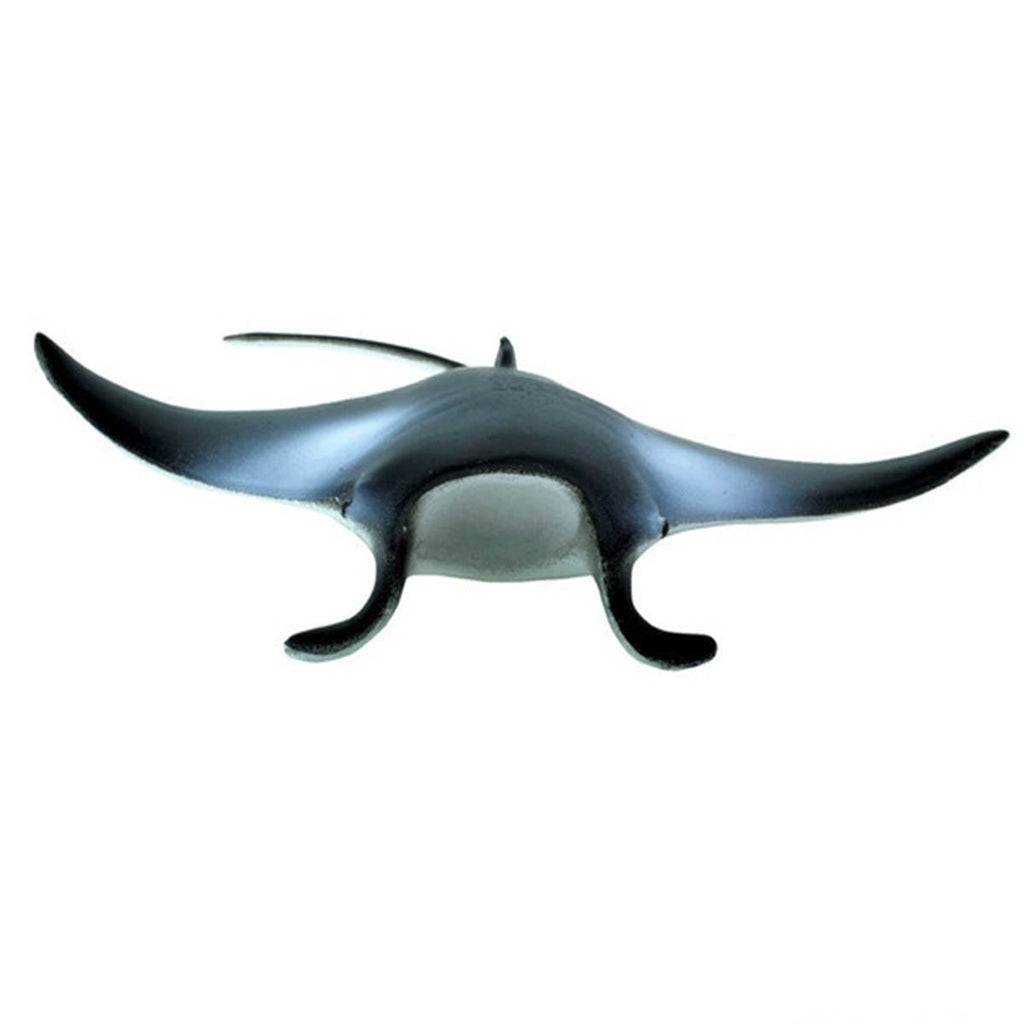 Manta Ray Sea Life Safari Ltd